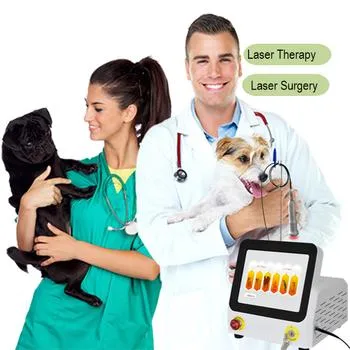 Veterinario profesional Uso veterinario Láser láser VET de 980 nm y animales más grandes Lase Rlow Láser Dispositivo