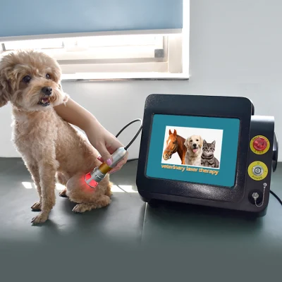 60 Watt Laser Therapy clase IV Equipo láser Quiropráctica/ Clase IV 980 Terapia láser para mascotas