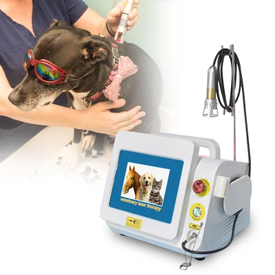 Medical 808 Nm 650nm 980nm equipos para Diodo de Fisioterapia Infrarrojo Dispositivo de alivio del dolor de terapia láser