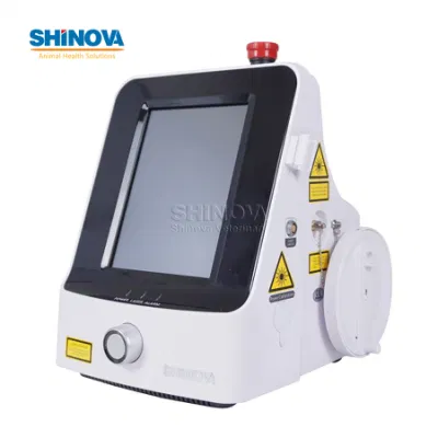 Equipo de Terapia láser Diodo para alivio del dolor portátil Veterinario Diodelaser Terapia láser de SystemDiode DL-15A/B