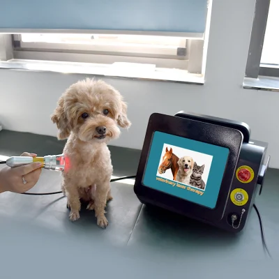 60 Watt Laser Therapy clase IV Equipo láser Quiropráctica/ Clase IV 980 Terapia láser para mascotas