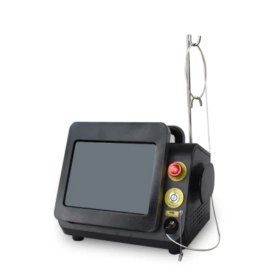 60 Watt Laser Therapy clase IV Equipo láser Quiropráctica/ Clase IV 980 Terapia láser para mascotas