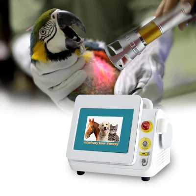 Medical 808 Nm 650nm 980nm equipos para Diodo de Fisioterapia Infrarrojo Dispositivo de alivio del dolor de terapia láser