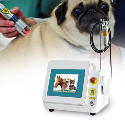 Medical 808 Nm 650nm 980nm equipos para Diodo de Fisioterapia Infrarrojo Dispositivo de alivio del dolor de terapia láser