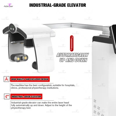 Luz Violeta todos los problemas de Fisio Terapia Cold Laser Equipment