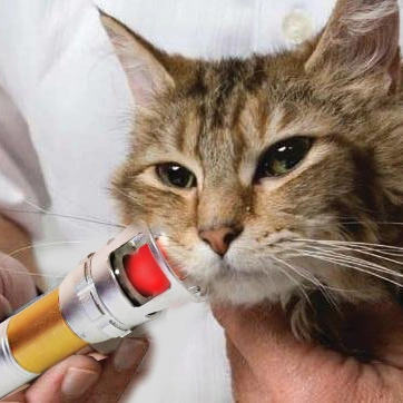 Tratamiento del dolor con láser frío 980nm Terapia quirúrgica con láser veterinario Fisioterapia Equipo