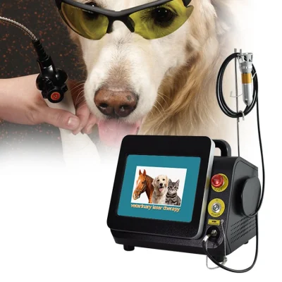 Tratamiento del dolor con láser frío 980nm Terapia quirúrgica con láser veterinario Fisioterapia Equipo