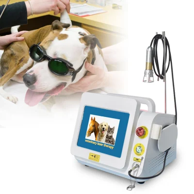 Medical 808 Nm 650nm 980nm equipos para Diodo de Fisioterapia Infrarrojo Dispositivo de alivio del dolor de terapia láser