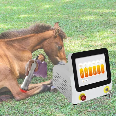 El frío bajo nivel de dispositivo Terapia con láser Cirugía láser de diodo 650 nm 810nm 980nm láser terapéutico animales veterinario.
