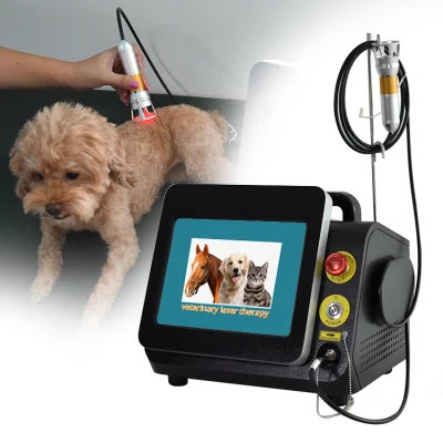 60 Watt Laser Therapy clase IV Equipo láser Quiropráctica/ Clase IV 980 Terapia láser para mascotas