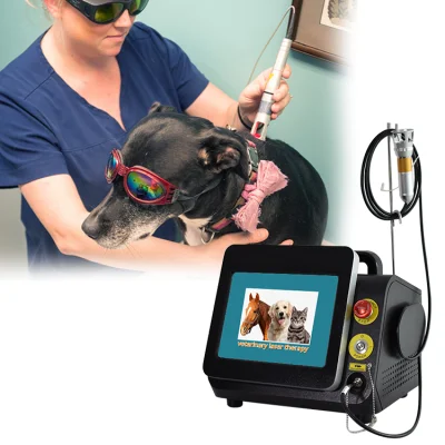 Tratamiento del dolor con láser frío 980nm Terapia quirúrgica con láser veterinario Fisioterapia Equipo