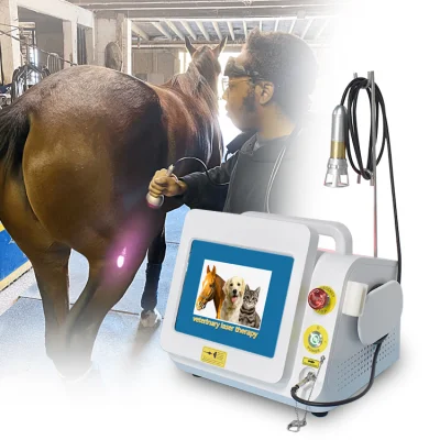  Equipo médico de láser Veterinario Animal quirúrgico de terapia láser