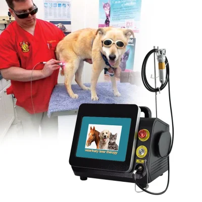 Tratamiento del dolor con láser frío 980nm Terapia quirúrgica con láser veterinario Fisioterapia Equipo