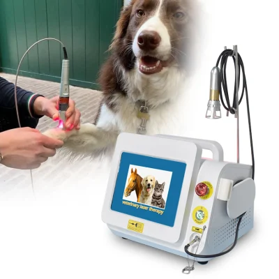Terapia de Lasit de tejido profundo portátil 980nm Terapia Veterinaria láser para Alivio del dolor animales máquina