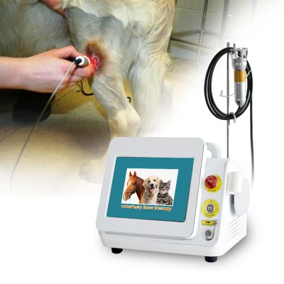 Medical 808 Nm 650nm 980nm equipos para Diodo de Fisioterapia Infrarrojo Dispositivo de alivio del dolor de terapia láser