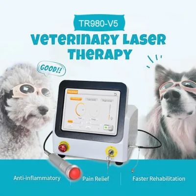 El frío bajo nivel de dispositivo Terapia con láser Cirugía láser de diodo 650 nm 810nm 980nm láser terapéutico animales veterinario.