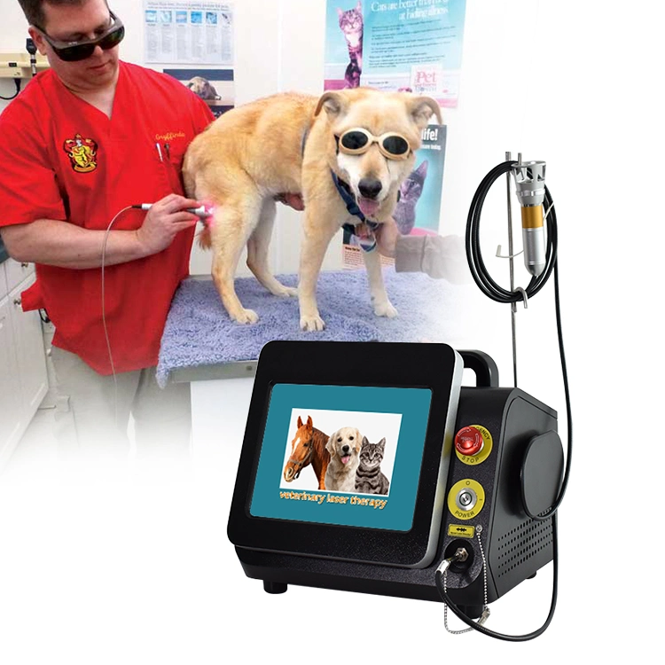 2024 Top Sale Medical Veterinary Physical Therapy 980nm Pain Relief Physical Laser Therapy Device