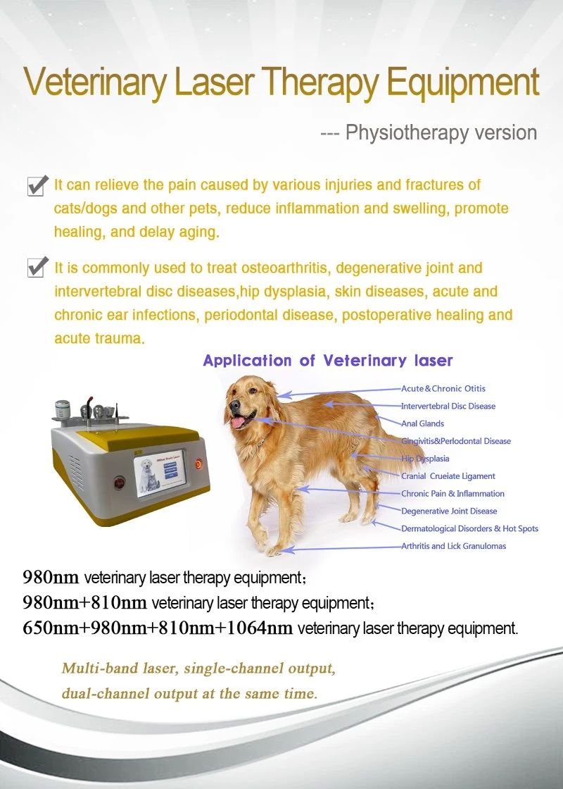 Portable Touch Screen Animals Laser Therapy Device Pain Relief Wound Healing Medical Therapy