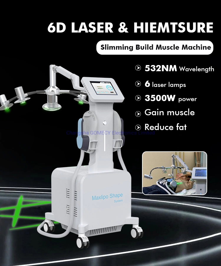 Professional EMS Weight Loss 6D Lipo Laser Slimming Machine Laser