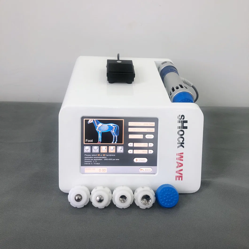 2022 New Horse Shockwave Therapy Machine Price, Veterinary Equine Use Radial Focused Machine Mslvk02