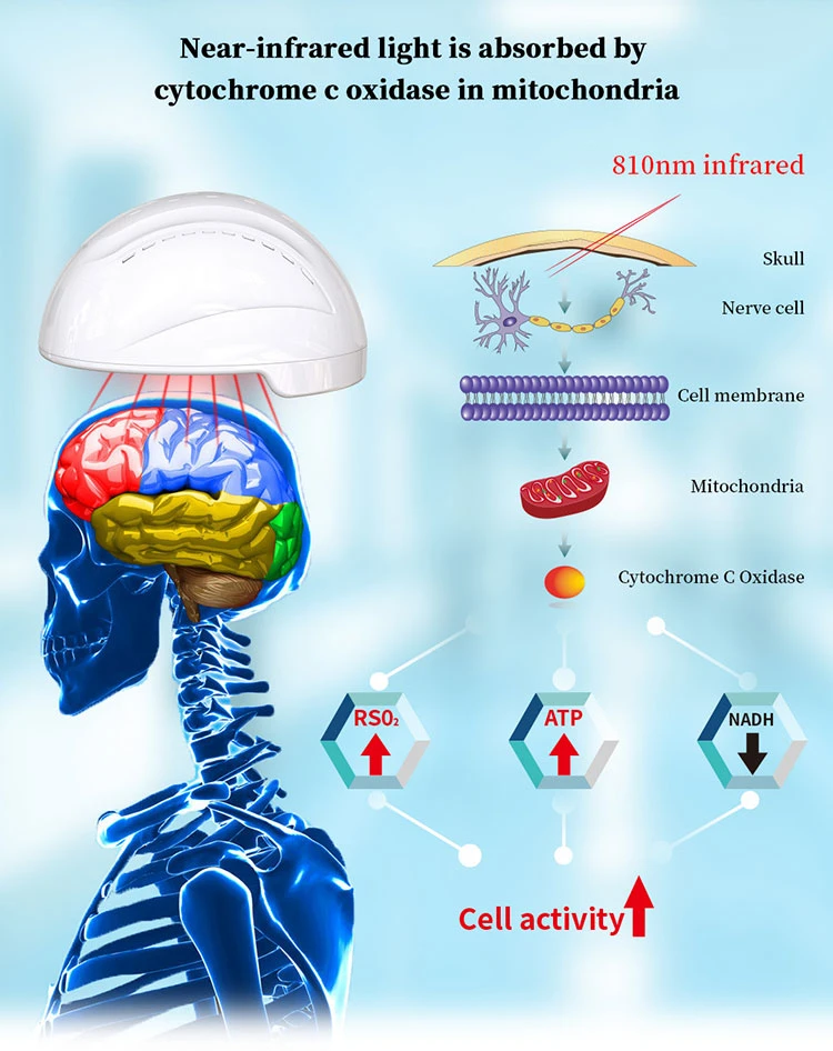 Transcranial Low Level Laser Therapy Neuro Brain Photobiomodulation System