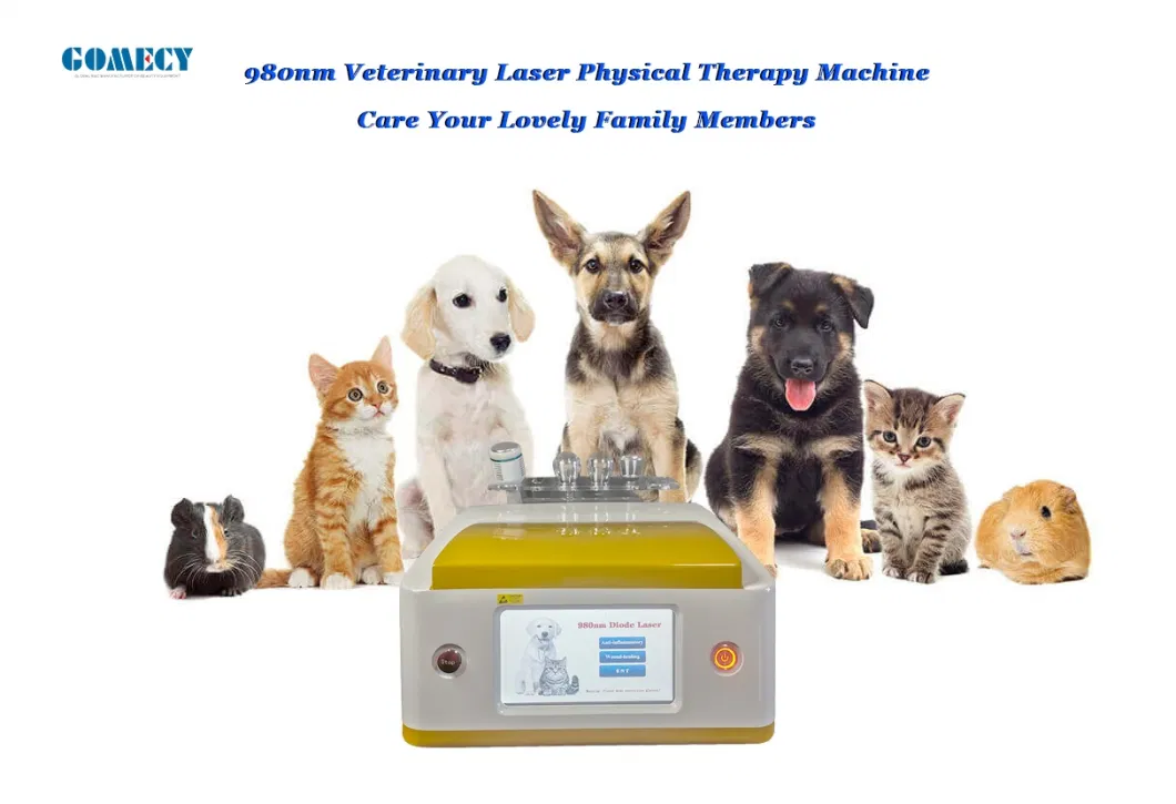 Portable Touch Screen Animals Laser Therapy Device Pain Relief Wound Healing Medical Therapy