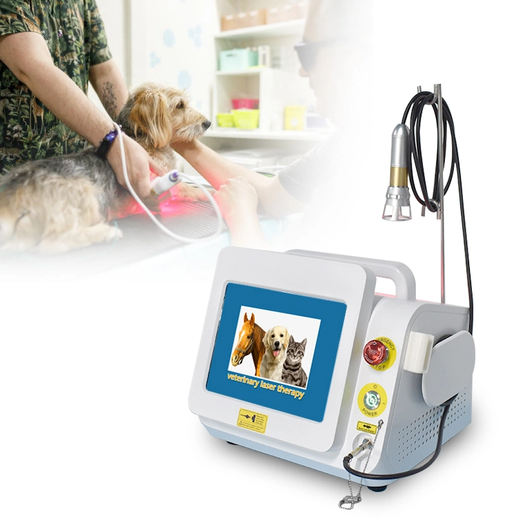 Portable Deep Tissue Lasert Therapy 980nm Therapy Veterinary Laser for Pain Relief Pets Animals Machine