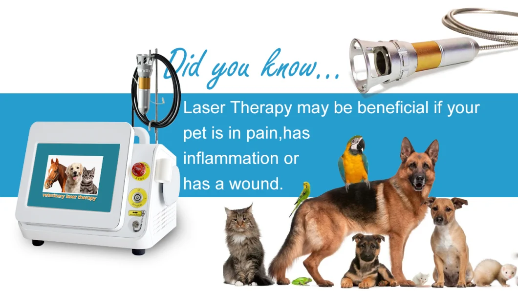 Portable Deep Tissue Lasert Therapy 980nm Therapy Veterinary Laser for Pain Relief Pets Animals Machine