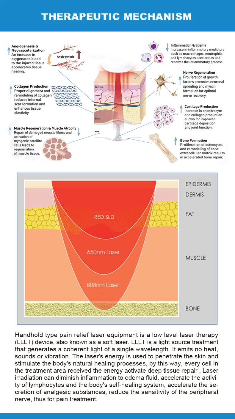 Lllt Pain Therapy Medical Laser Handheld for Human and Pets Fast Recovery