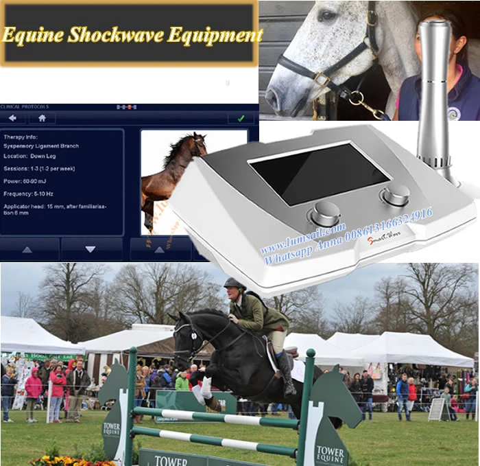 Equine Extracorporeal Shock Wave Therapy Eswt Machine for Horses and Small Animals