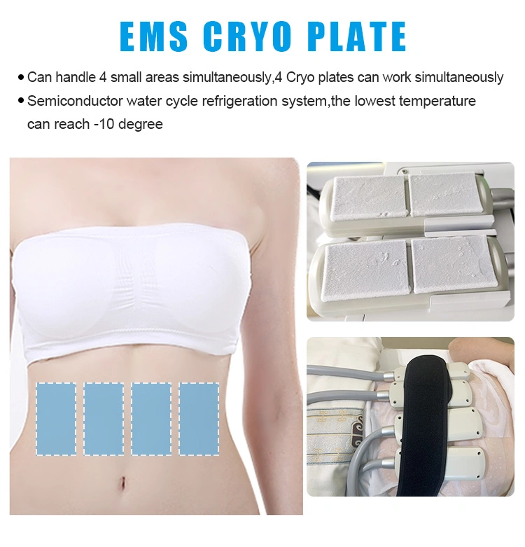 10d Diode Laser Lipo 4 Plates New Fat Loss Cryo Pads Slimming Machine EMS Pads Cryo Cold Laser Fat Reducing Cellulite Removal Lipo Laser