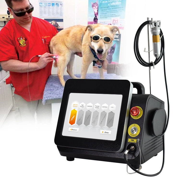 Medical Equipment 980 Diode Laser Machine Low Level Laser Physiotherapy Devices