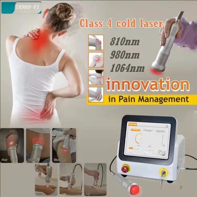 Deep Tissue Surgery Treatment Diode Laser 810/980/1064nm Physiotherapy/Pain Relief Clinic Use Medical Equipment