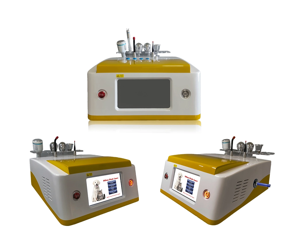 Veterinary Laser High Power Therapy Equipment for Animals and Vet Clinic Cold Laser Therapy Device