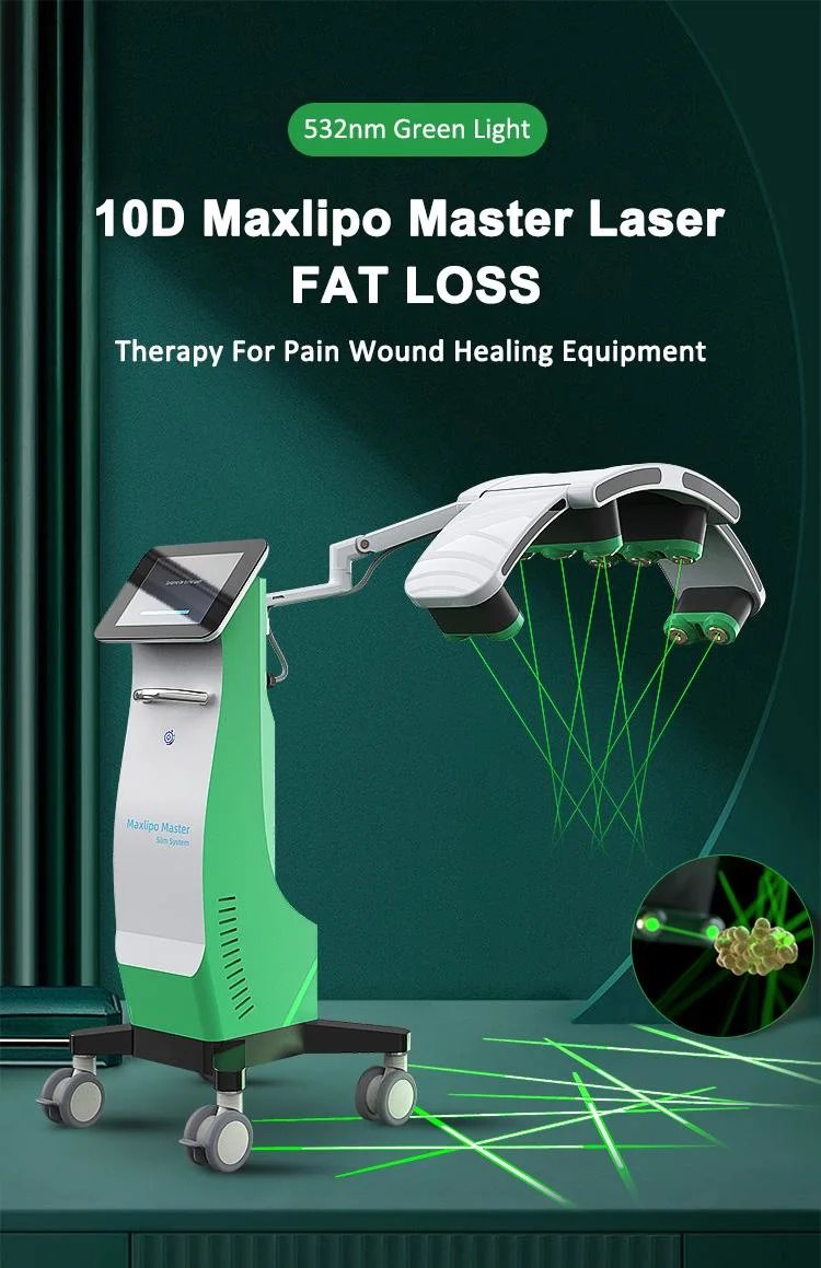 2023 New Arrival 532nm Cold Diode Laser for Fat Loss 10 Green Laser Therapy 6D 10d Painless Slim Machine