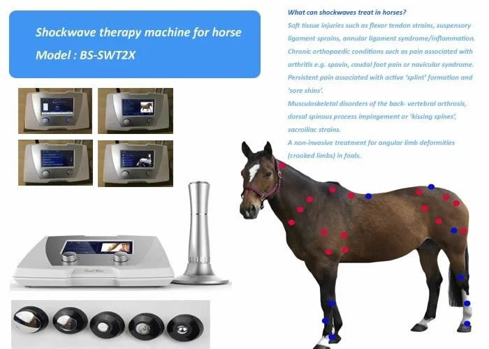 Equine Extracorporeal Shock Wave Therapy Eswt Machine for Horses and Small Animals