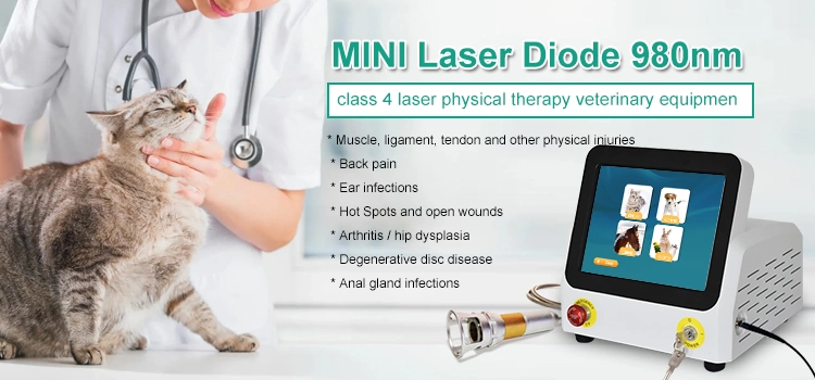 980nm/810nm/1064nm Veterinary Laser Therapy Pain Relief Home Use Physical Laser Therapeutic