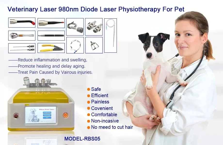 Veterinary Laser High Power Therapy Equipment for Animals and Vet Clinic Cold Laser Therapy Device