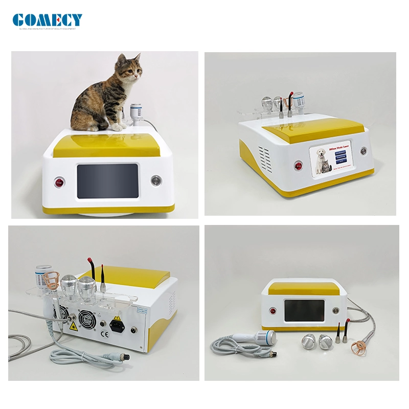 Portable Touch Screen Animals Laser Therapy Device Pain Relief Wound Healing Medical Therapy