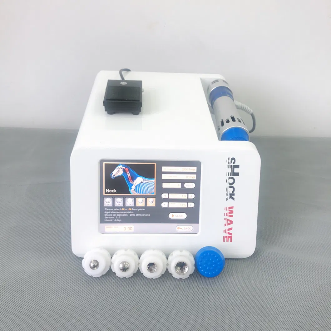 2022 New Horse Shockwave Therapy Machine Price, Veterinary Equine Use Radial Focused Machine Mslvk02