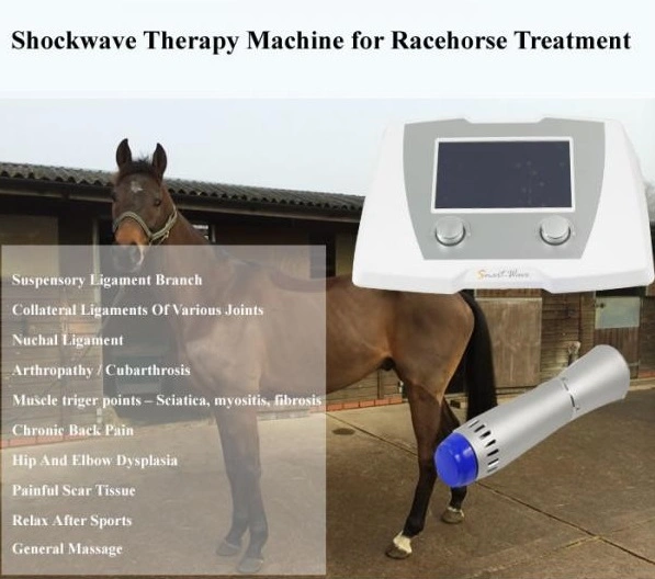 Animal Treatment Horse Massage Veterinary Shockwave Machine for Racing Horse Therapy