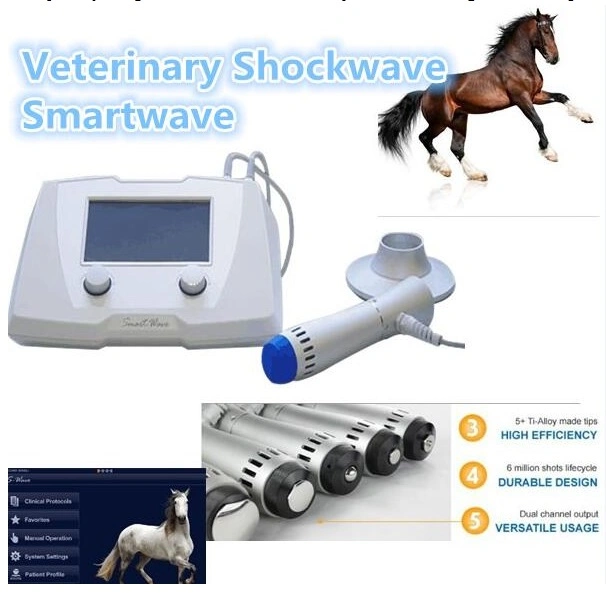 Animal Treatment Horse Massage Veterinary Shockwave Machine for Racing Horse Therapy