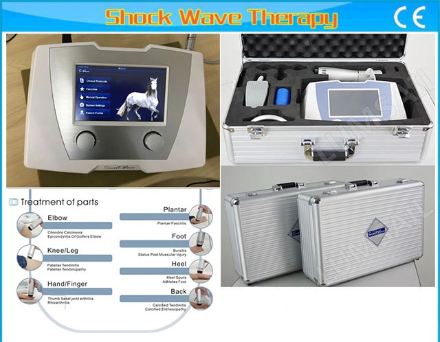 Animal Treatment Horse Massage Veterinary Shockwave Machine for Racing Horse Therapy