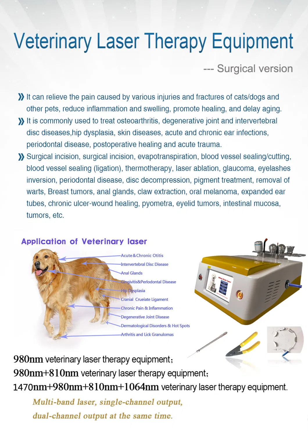 Portable Surgical Laser for Veterinary Semiconductor Laser Therapy Instrument, Veterinary Laser Therapy Machine