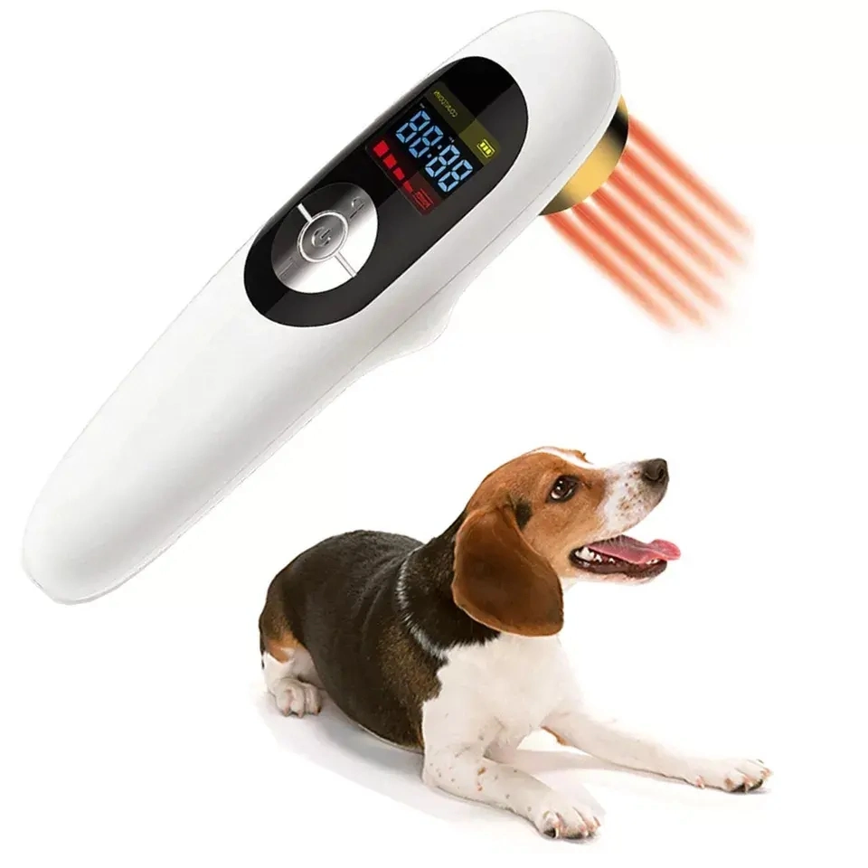 Veterinary Equipment 808nm Cold Laser Therapy Animals Wound Healing Physiotherapy