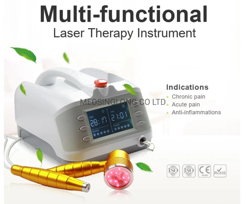 Portable Multi-Functional Laser Therapy Physiotherapy Equipment