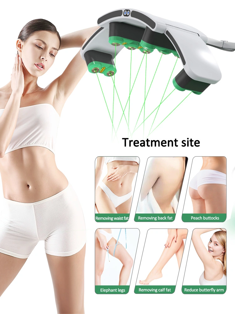 10d Maxlipo Master Cold 532nm Green Laser Body Beauty Equipment