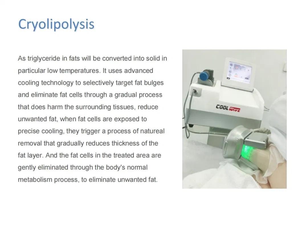 2 in 1 Professional Criolipolisis Cryotherapy Fat Freezing Machine with Shockwave Therapy ED Treatment