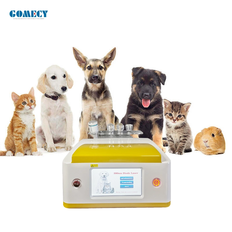 980nm Veterinary Use Pets Physiotherapy Anti-Inflammation Healing Therapy Device