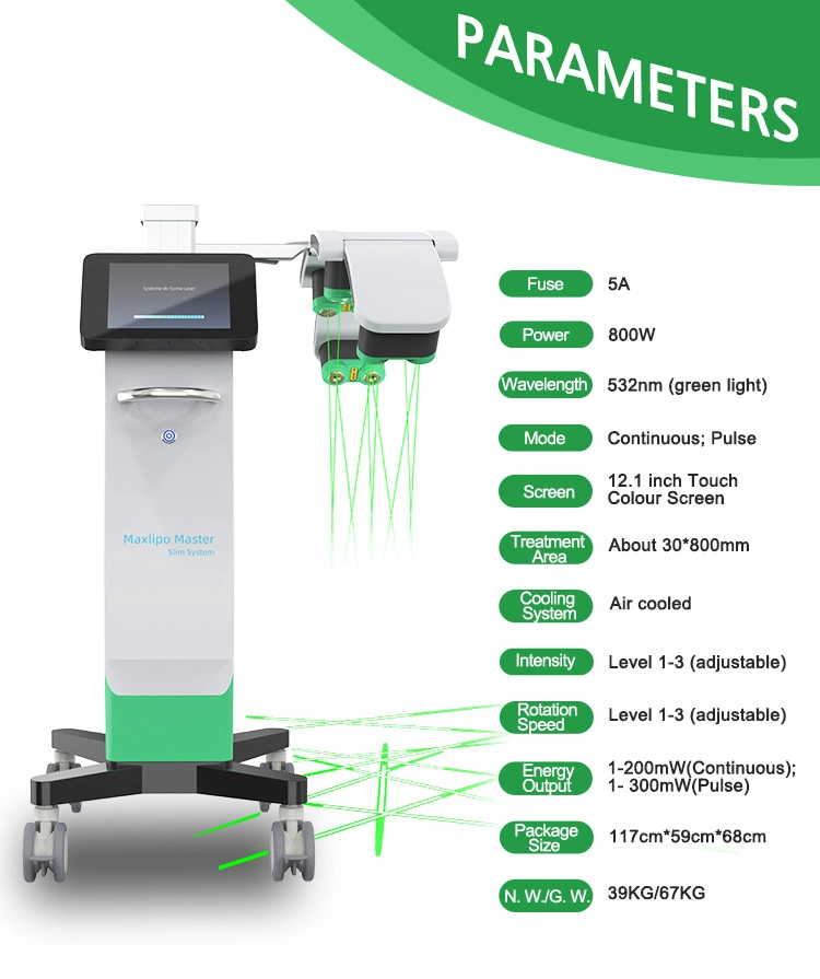 10d Maxlipo Master Cold 532nm Green Laser Body Beauty Equipment